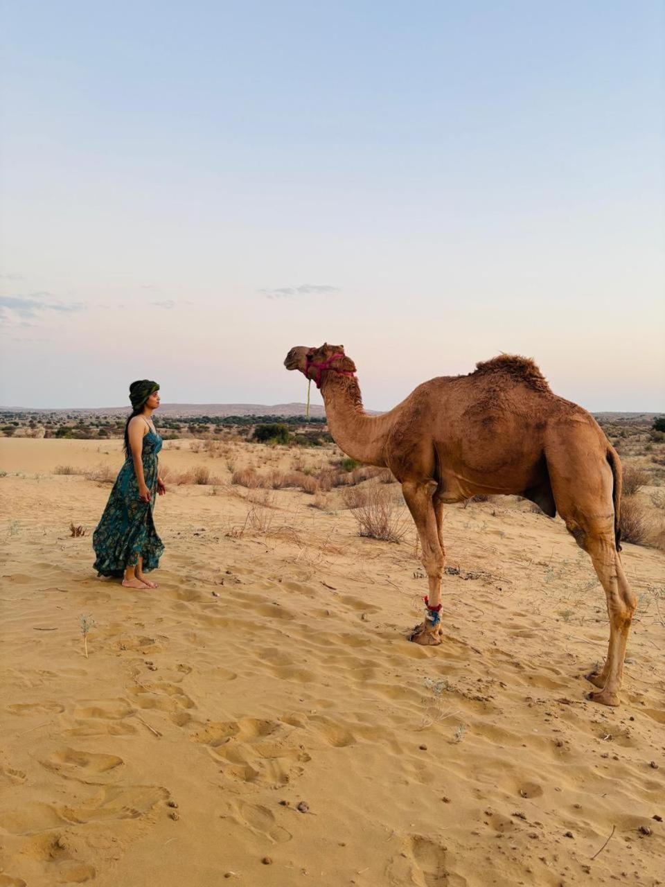Crazy Camel Hotel & Safari Jaisalmer Exteriör bild