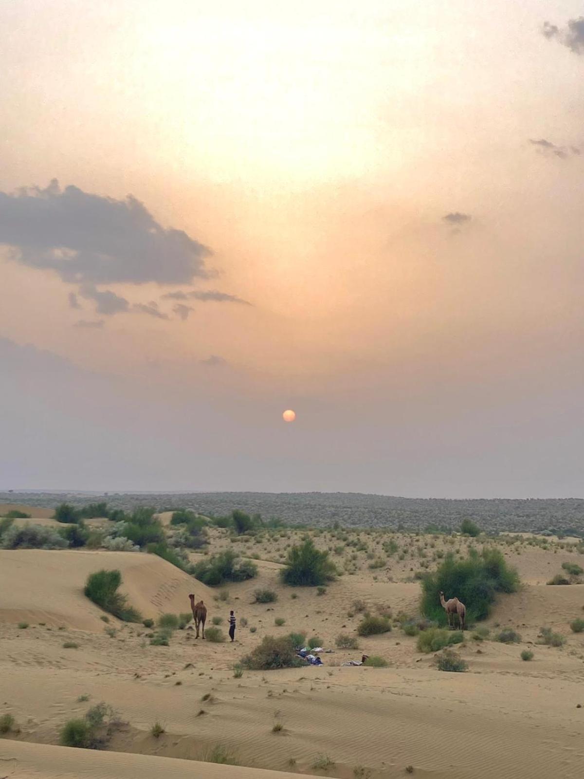 Crazy Camel Hotel & Safari Jaisalmer Exteriör bild