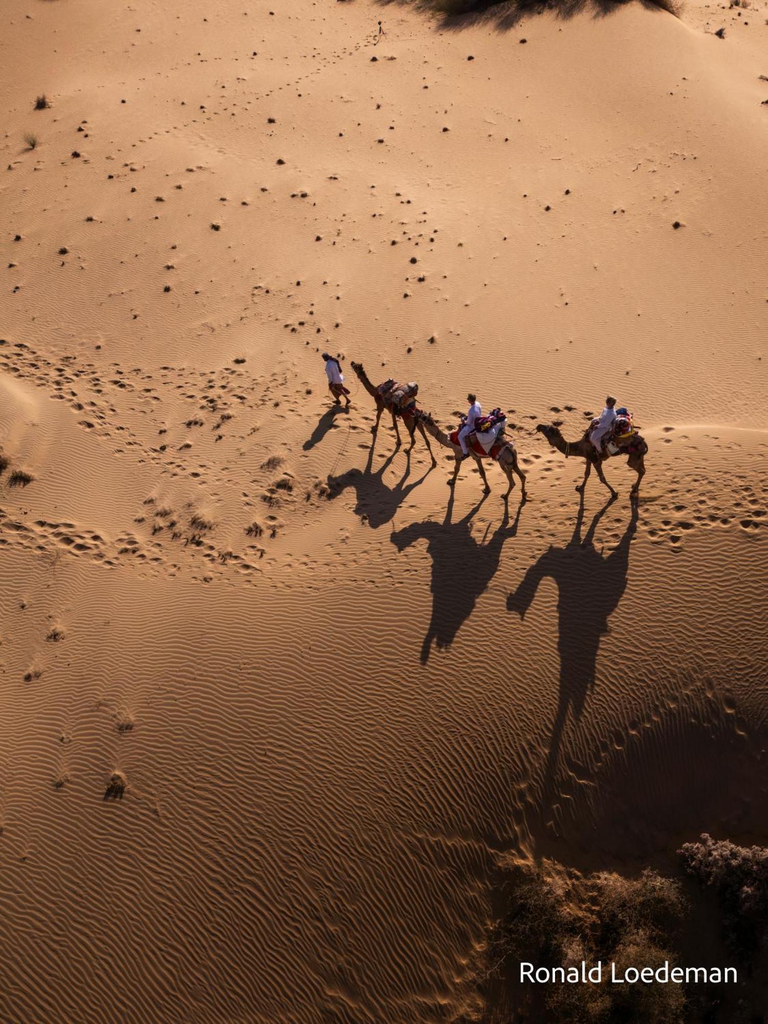Crazy Camel Hotel & Safari Jaisalmer Exteriör bild